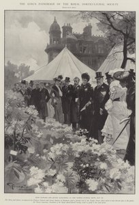 El patrocinio del rey a la Sociedad Real de Horticultura de G.S. Amato