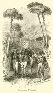 Campesinos portugueses