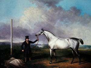 Caballero sosteniendo un caballo de carreras gris en un curso de G. Jackson