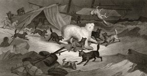 Caza de osos, grabado por J.C. McRea, de 