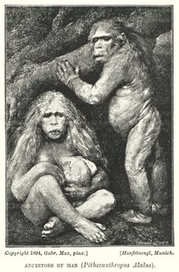 Ancestros del Hombre, Pithecanthropus Alalus (litografía) de Gabriel Max