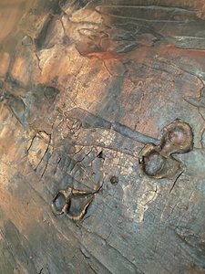  de Gabriela Aleksandra Szuba