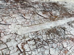  de Gabriela Aleksandra Szuba