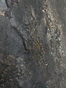  de Gabriela Aleksandra Szuba