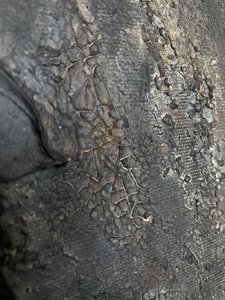  de Gabriela Aleksandra Szuba