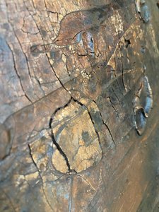  de Gabriela Aleksandra Szuba