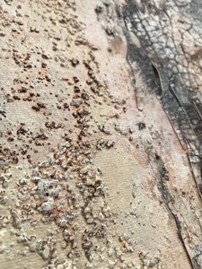  de Gabriela Aleksandra Szuba