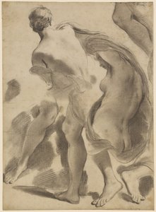 Estudios de desnudos femeninos de Gaetano Gandolfi