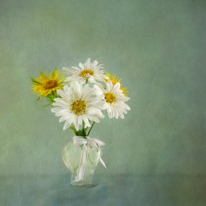  de Gaille Gray