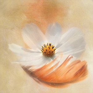  de Gaille Gray