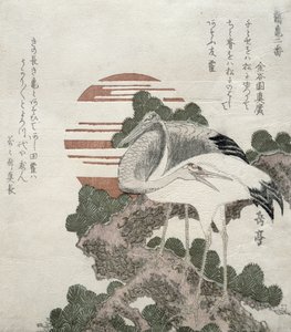Grulla (Tsuru) de la serie 2 diseños de Grullas y Tortugas, 1818-30 de Gakutei Harunobu