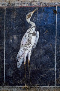  de Gallo-Roman