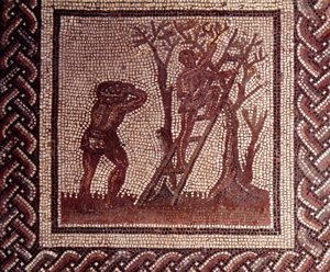 Arte Galo-Romano: pavimento de mosaico que representa un calendario rústico. Escena de recolección de aceitunas. Finales del siglo II, principios del siglo III d.C. De Saint-Romain-en-Gal (Rhone). Saint Germain en Laye, Museo Nacional de Arqueología de Gallo Roman