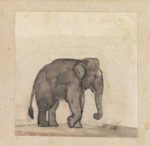 Elefante de Gangaram Chintaman Tambat