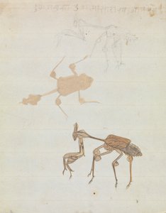 Mantis religiosa de Gangaram Chintaman Tambat