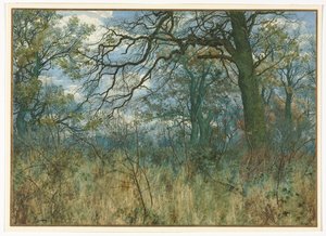 Trees and Undergrowth de Garden William Fraser