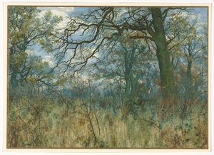 Árboles y Maleza, 1885 de Garden William Fraser