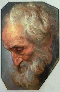 Cabeza de un Apóstol de Gaspar De Crayer