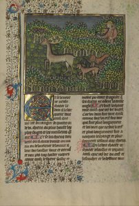 Libro de la caza