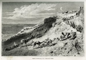Akabah o alineación de camellos de la caravana. Ilustración de la historia “peregrinación al Nedjed, cuna de la raza árabe”, por Lady Anna Blunt, en 1878-1879, publicado en Le tour du monde