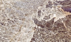 Motivos de agua dorada de Gemma Bardot