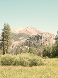 La serenidad de un prado de montaña