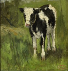 Ternera, con manchas blancas y negras de Geo Poggenbeek
