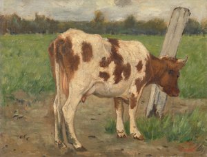 Vaca de Geo Poggenbeek
