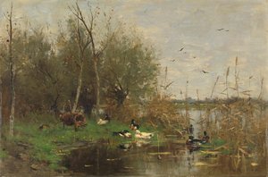 Patos junto a un refugio para patos en una zanja