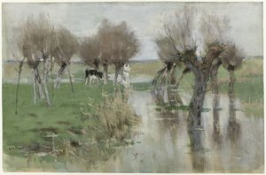 Agua alta en la pradera de Geo Poggenbeek