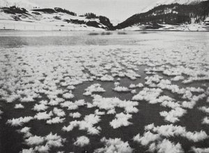 Suiza