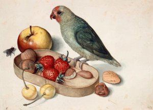 Naturaleza muerta con periquito