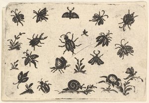 Pequeños motivos de insectos y plantas de Georg Herman