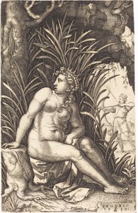 Procris