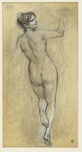Mujer desnuda de pie, vista desde atrás