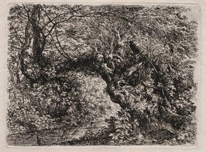 El viejo sauce en un arroyo, 1794 de Georg von Dillis