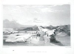 El Delfín atrapado por el hielo, de 