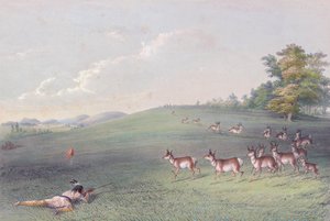 Cartera de indios norteamericanos de George Catlin de George (after) Catlin