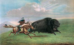Impresión después de Caza de Búfalos por George Catlin, c.1920