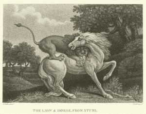 El león y el caballo, de Stubs de George (after) Stubbs
