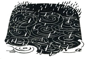 Diseño de charco de lluvia de George Adamson