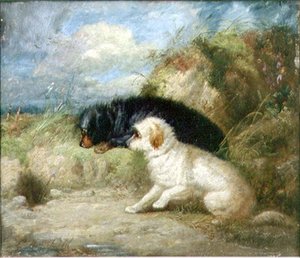 Terriers junto a un agujero de conejo