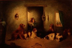 Los perros de la cocina de George Armfield