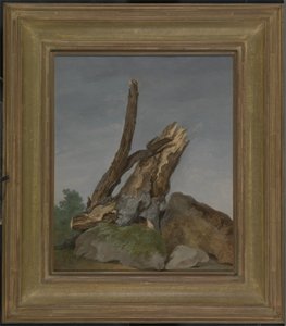 Estudio de rocas y ramas, c.1795 de George Augustus Wallis