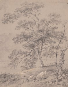 Estudio de árboles de George Barret