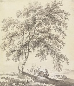 Estudio de árboles con ciervos (Paisaje) de George Barret