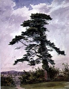 Paisaje, con un pino escocés de George Bedford