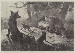 La familia de zorros en casa de George Bouverie Goddard