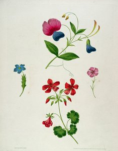 Una ilustración de 