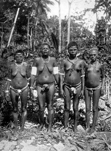 Mujeres en atuendo festivo, Melanesia, 1920 de George Brown